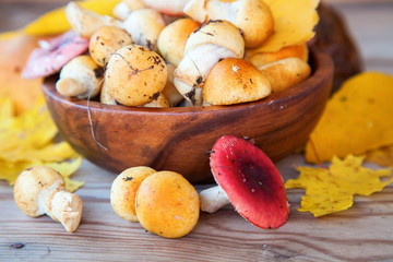 mushrooms on a table, selective focus
