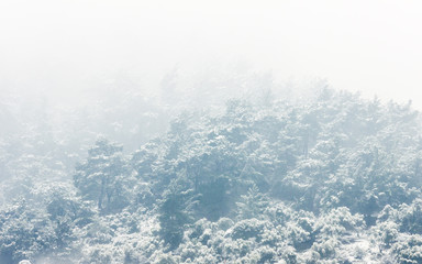 Snowy weather in Balcova mountains - Turkey