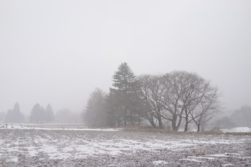 雪景色　雪山　冬の山　銀世界
