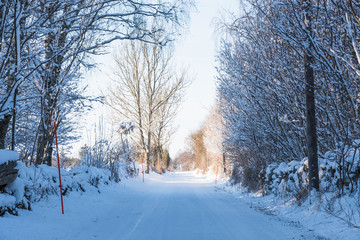 Obraz premium Country road through a snowy winter landscape