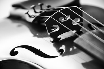 Violin 