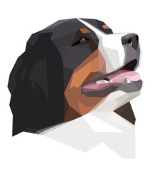 Head Bernese Mountain Dog in the geometric style