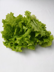 Lettuce