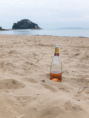 Fototapeta na wymiar Bottiglia di prosecco sulla spiaggia