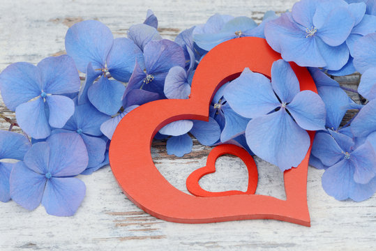 blue flower and red heart lying on wood