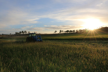 Cutting Hay in the Twilight