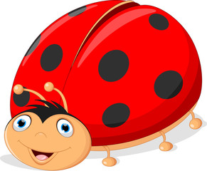 Fototapeta premium Cute ladybug cartoon