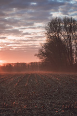 Sunrise over harvested field