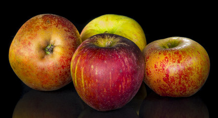 Pommes bio