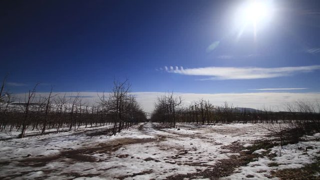  time lapse video The movement of the clouds  in the snow. The Golan Heights Mount Hermon Israel(7)