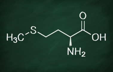 Structural model of Methionine