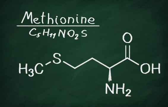 Structural model of Methionine