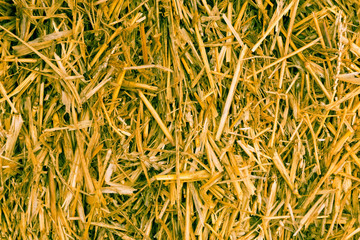 Close up of straw background texture