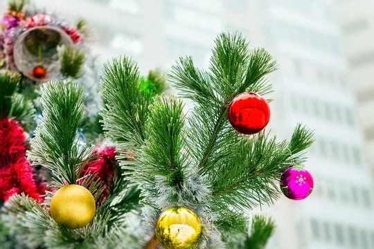 Closeup image of Christmass tree decorated with toys outdoors