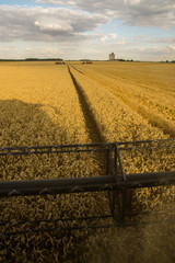 Moisson de bl&eacute;