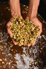 Coffee beans and fresh berries beans background