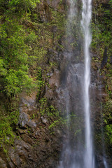 Fototapeta na wymiar Wasserfall im Urwald in der Nähe des Wailua River auf Kauai, Hawaii, USA.