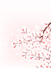 桜　春　花　背景 