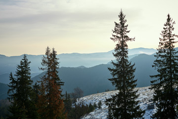 Beautiful view of the blue winter mountains and hills in Carpathians on the sunrise