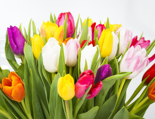 Bunch of spring tulips
