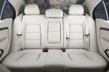 Back passenger seats