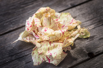 Fresh Radicchio salad on wooden background