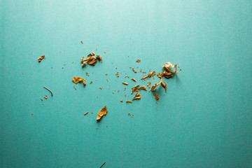 broken dried maple leaf