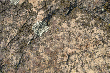 Natural stone hard rock with lichen background