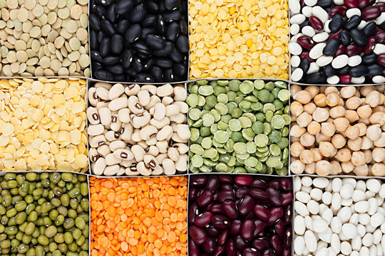 Pulses food background, assortment  - legume, kidney beans, peas, lentils in square cells closeup top view. Healthy protein food.