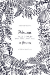 Vintage trees and shrubs in flowers illustration. Valentine's Day or Wedding design template. Vector greeting card with hand drawn wisteria, black locust, silver wattle, albizia sketch.