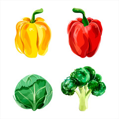 Set of vector watercolor vegetables. Pepper, broccoli, brussel s