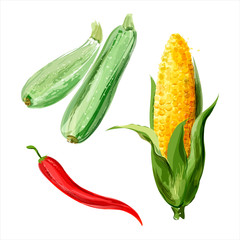 Set of vector watercolor vegetables. Zucchini, corn, red chili - 133195950