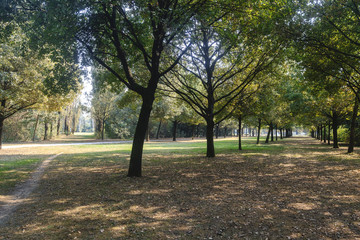 Milan (Italy): Parco Nord at fall