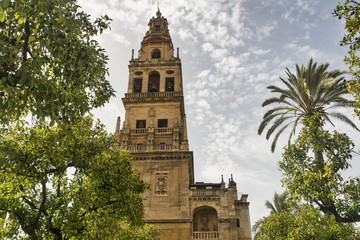 Fototapeta na wymiar Cordoba (Andalucia, Spain): cathedral courtyard