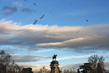 Cielo y gaviotas volando