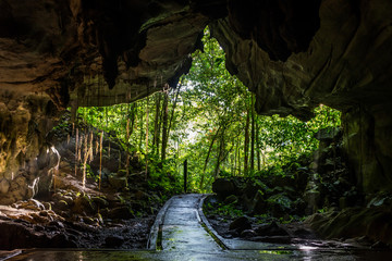 Cave Entrance to Jungle. Cave entrance in Mulu National Park, Borneo, Malaysia. - obrazy, fototapety, plakaty