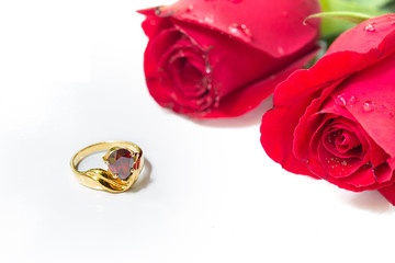 Two Red rose and Golden ring Ruby head for love in Valentine day