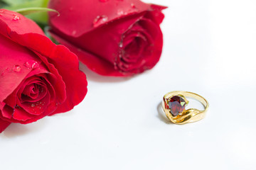 Two Red roses and Ruby ring for love in Valentine day