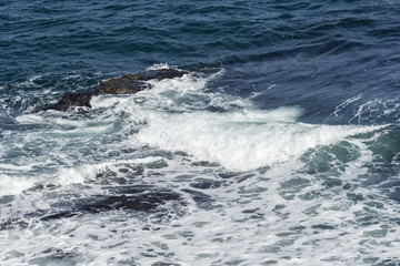 Moss covered rock and reef