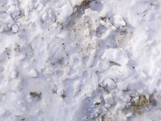 schnee und eis und winterliche texturen und hintergründe