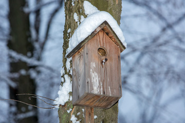 Birdhouse hanging on a tree in winter with snow