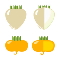Root vegetables: celery and turnips, Root vegetables: celery and turnips, a general view and in section, on a white background