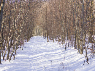 schnee und eis und winterliche texturen und hintergründe