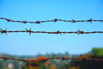 Closeup view of rusted iron wire fence.