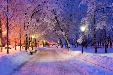 Rolgordijnen Alley night lamp winter © dbrus