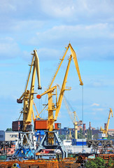 Obraz premium Port cargo crane