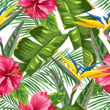 Seamless pattern with tropical leaves and flowers. Palms branches, bird of paradise flower, hibiscus