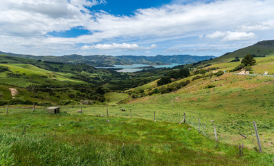 Naklejka premium Banks Peninsula landscape, New Zealand