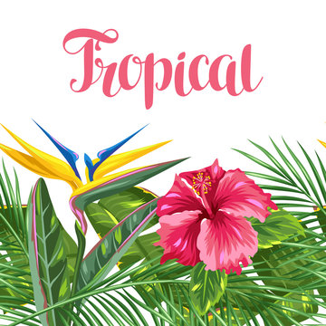 Seamless border with tropical leaves and flowers. Palms branches, bird of paradise flower, hibiscus