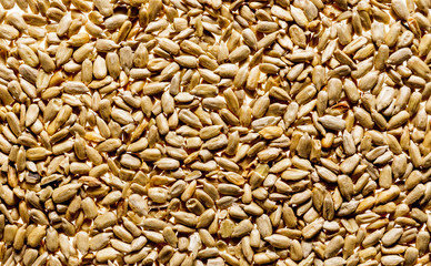 The kernel of sunflower seeds. Texture.